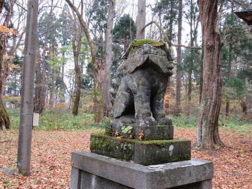 文化の日は日本晴れ_b0238249_1863192.jpg