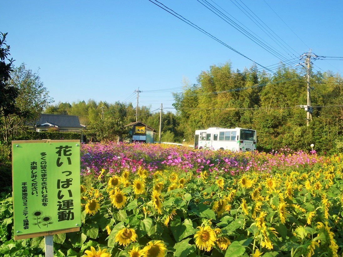 夏と秋の競演。　戸田(とだ)_c0360849_22170652.jpg