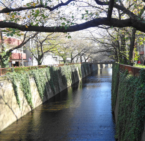 中目黒「出雲蕎麦　錦織」へ・・・_d0113851_8323323.jpg