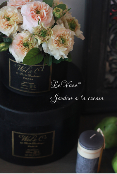 Jardin a la cream_e0158653_1111939.jpg