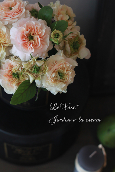 Jardin a la cream_e0158653_163075.jpg