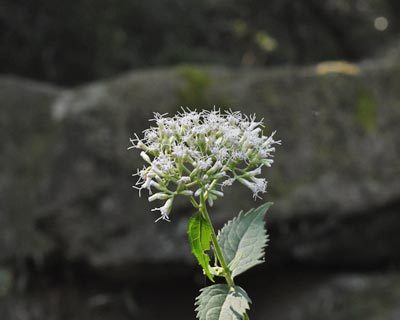 e0035757_20173363.jpg