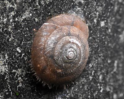 e0035757_20241721.jpg