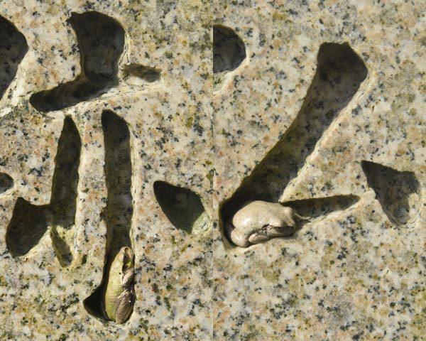 e0035757_20252485.jpg