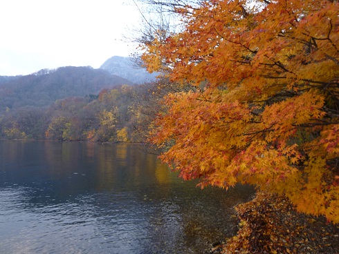d0032262_1123968.jpg