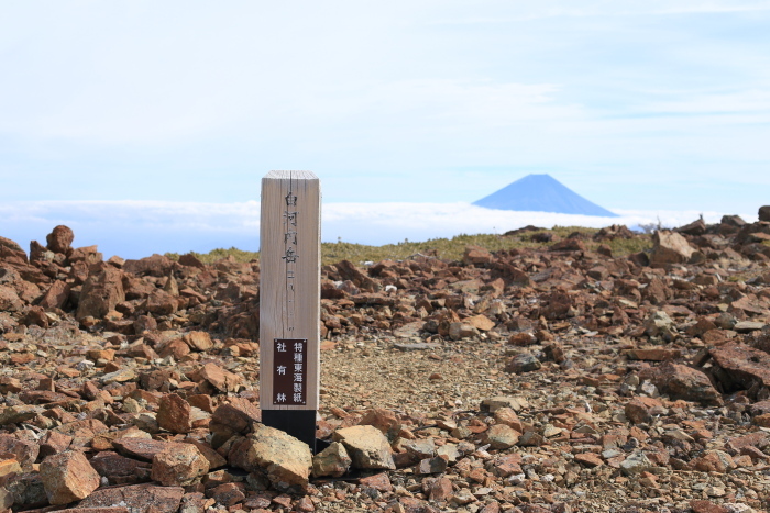 151101 白峰南嶺　後編　広河内岳～笹山_e0338862_20005939.jpg