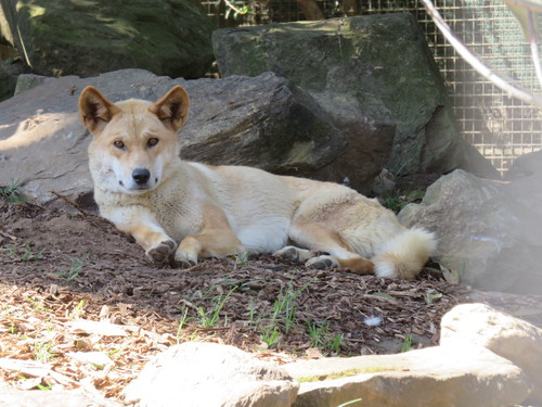 生き物シリーズ♪_f0032766_049143.jpg