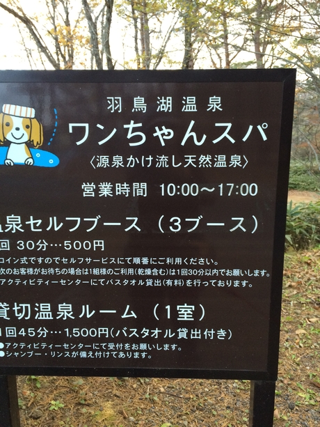 c0283778_11431651.jpg