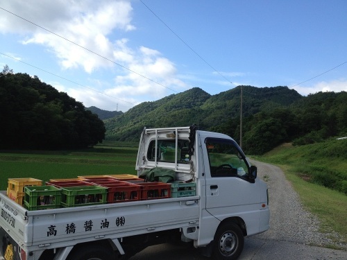 せがれオススメの場所「玉丘史跡公園」_f0351381_09132512.jpg