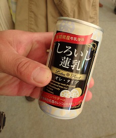 佐賀バルーンフェスタ2015_d0195183_03568.jpg