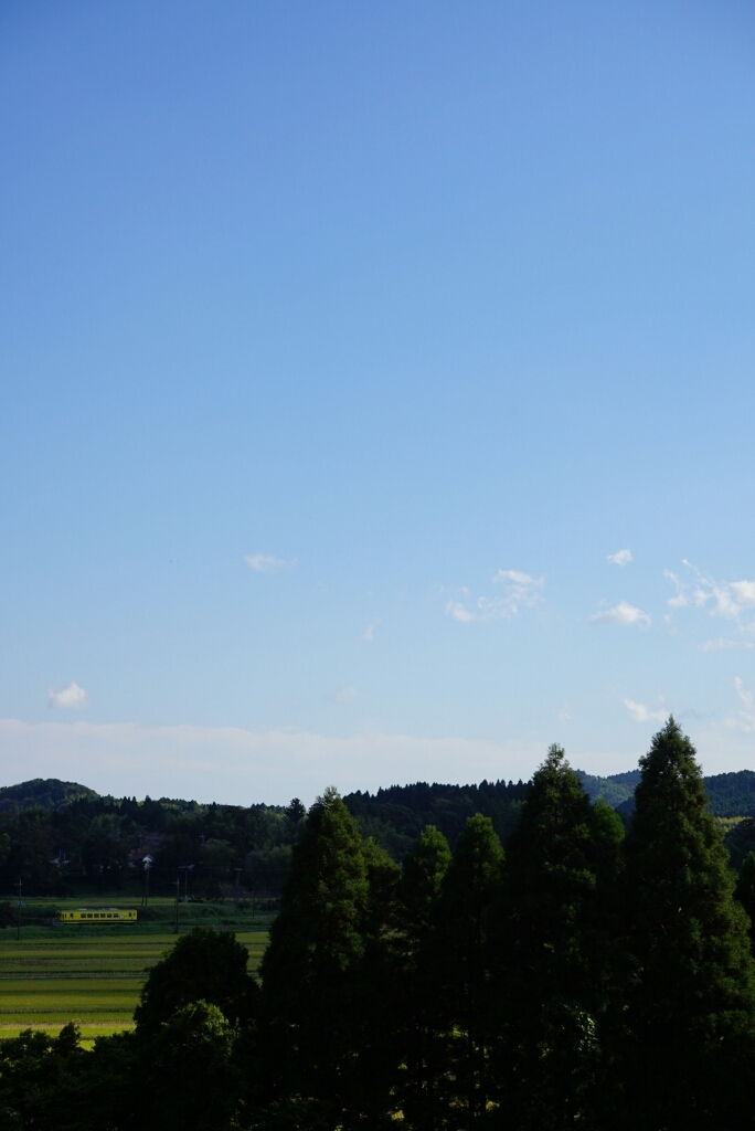 d0341483_21485153.jpg