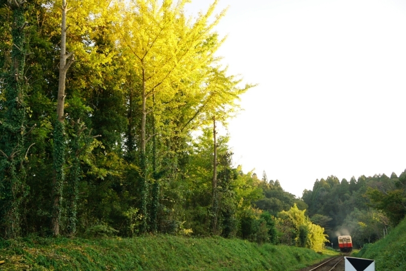 d0341483_21490771.jpg