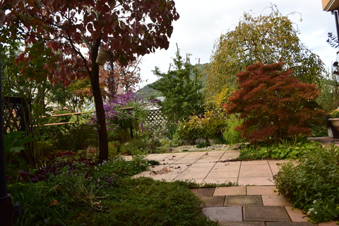 b0230589_14475693.jpg