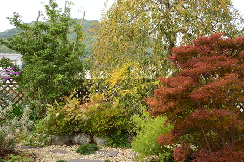 b0230589_14491877.jpg
