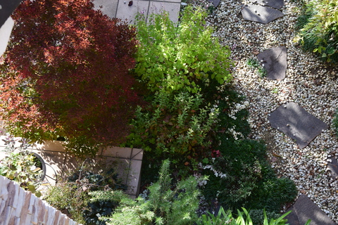 b0230589_145022.jpg