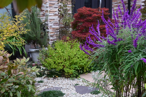 b0230589_14511547.jpg