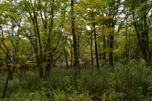 d0226492_14311634.jpg
