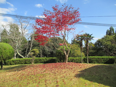 a0206695_12503157.jpg