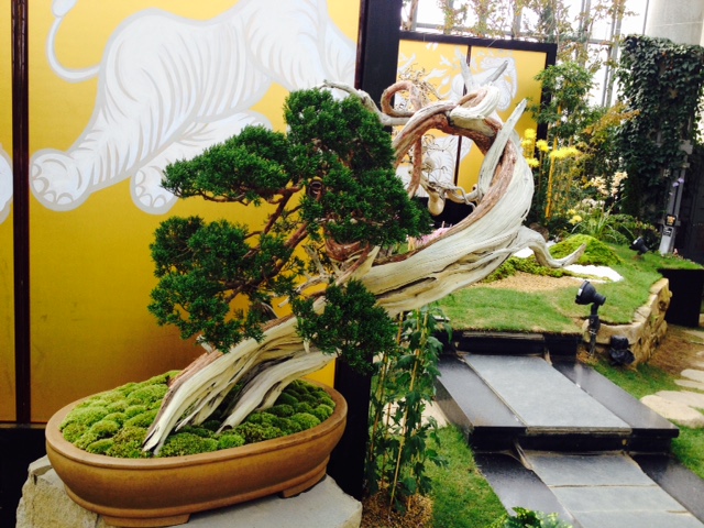 花さじき・奇跡の星の植物館_f0204295_19355687.jpg