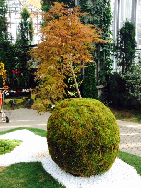 花さじき・奇跡の星の植物館_f0204295_19361267.jpg