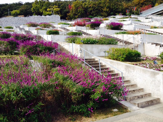 花さじき・奇跡の星の植物館_f0204295_19451311.jpg