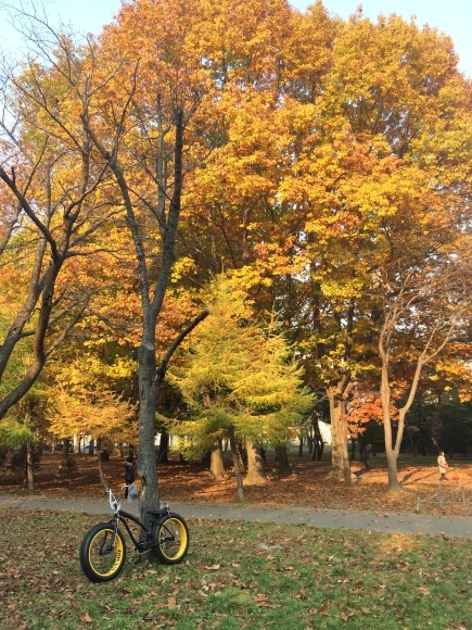 b0199097_18183180.jpg