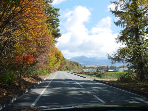 女神湖にお散歩に行って来ました♪_c0090198_17372530.jpg
