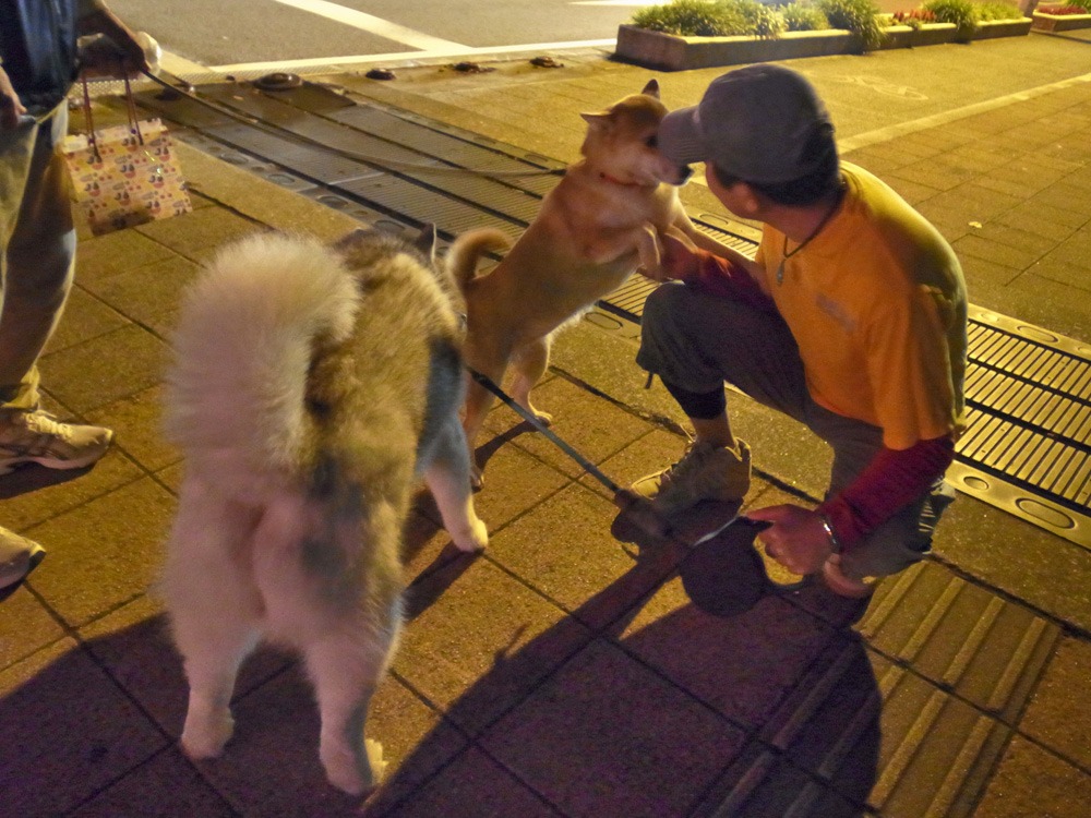 ひさしぶりに (*^_^*)_c0049299_2142323.jpg