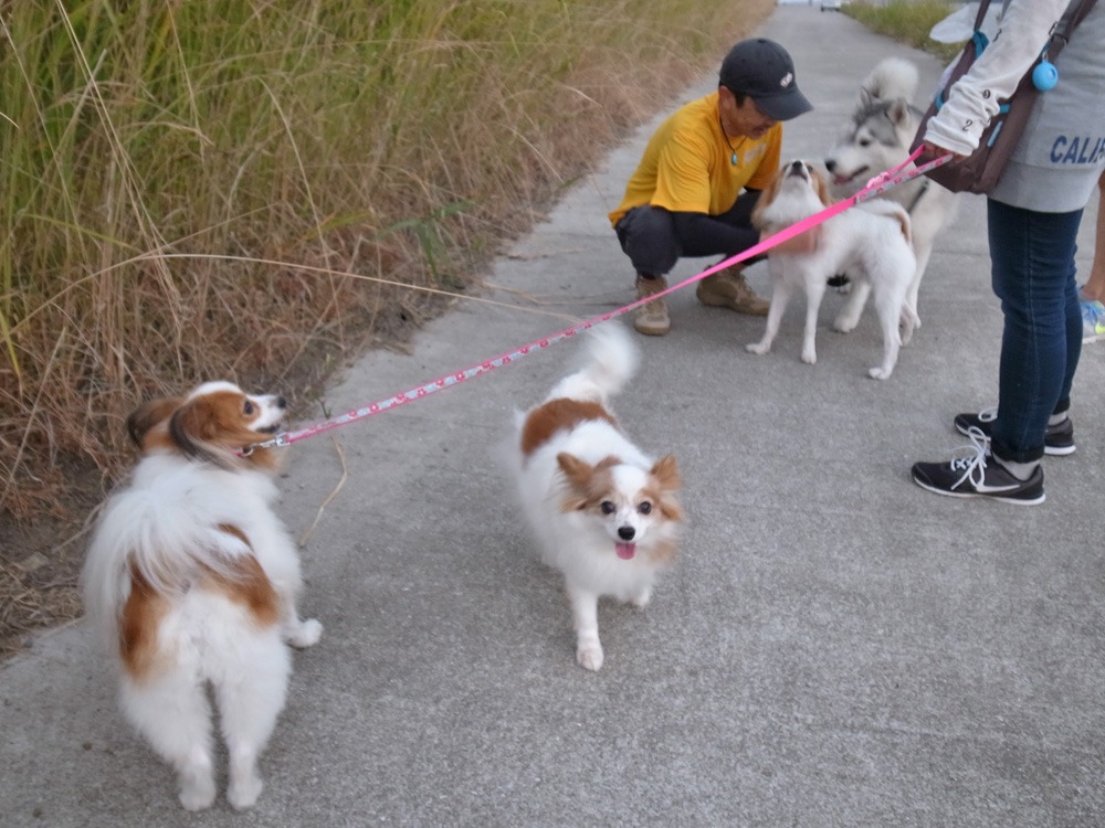ひさしぶりに (*^_^*)_c0049299_21535383.jpg