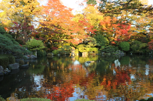 山形もみじ公園（宝幢寺跡）　１１月４日午後　楓蔦黄ばむ（もみじ　つた　きばむ）・・・４_c0075701_22491958.jpg