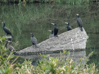 c0125501_2158547.jpg