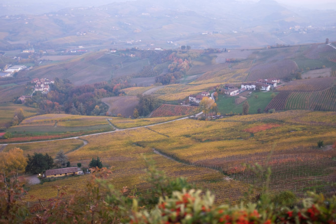 イタリアの紅葉した葡萄畑の丘🍇 Le colline delle Langhe in autunno_b0246303_16395511.jpg