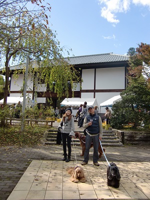 a0134004_8434489.jpg