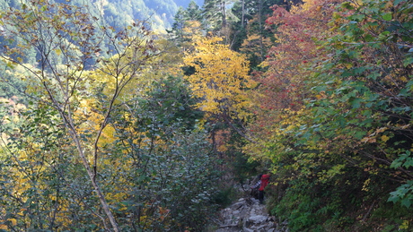 c0242406_17474229.jpg