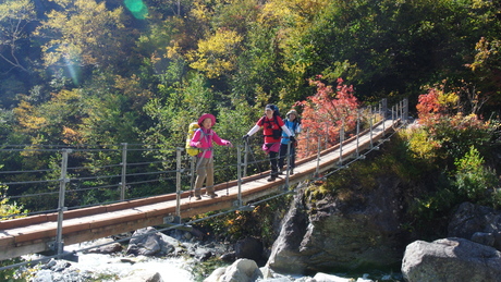 c0242406_1758444.jpg