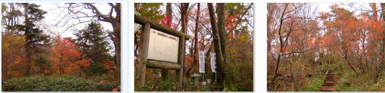f0231709_1413260.gif