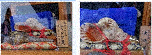 f0231709_1423527.gif