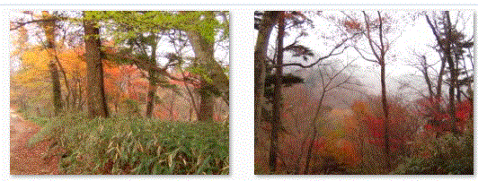 f0231709_1492010.gif