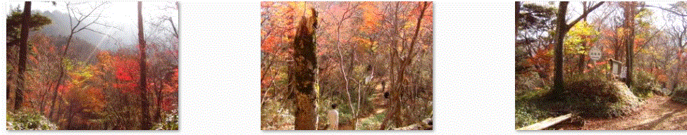 f0231709_15502614.gif