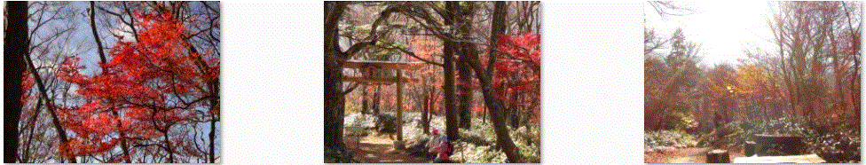 f0231709_1550289.gif