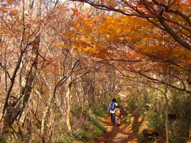 f0231709_1551275.jpg