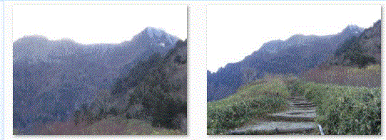 f0231709_15553283.gif