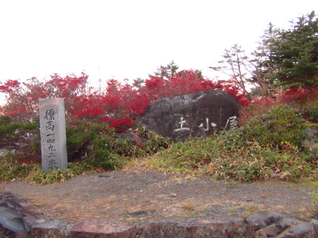f0231709_16353712.jpg