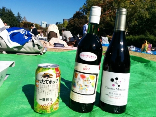山梨ヌーボーワイン祭り 日比谷公園 Live Love Food