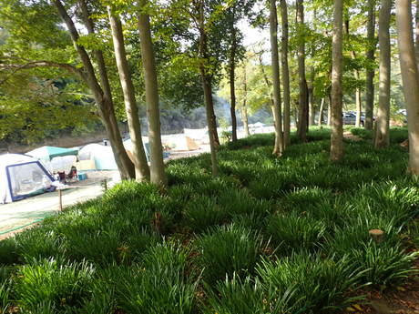 e0215910_15415111.jpg