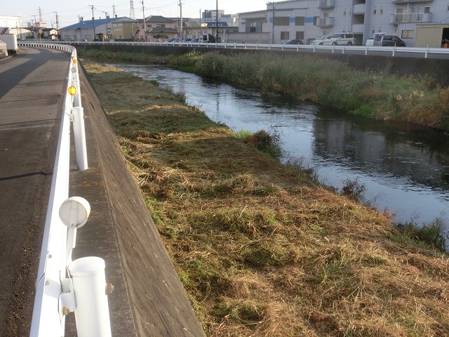 秋の日差しの中、小潤井川の草刈りと「ホルモンちゅうちゃん」での払い_f0141310_7244145.jpg