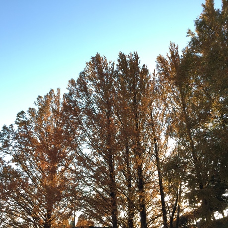 e0148212_1716219.jpg