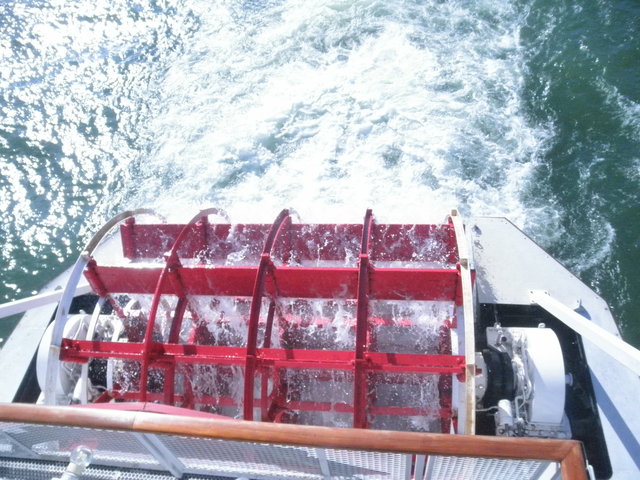 a0189513_2147397.jpg