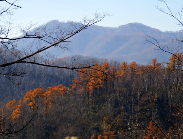 2015年11月4日(水)　藻岩山　旭山公園口（標高531ｍ）_c0171816_1719259.jpg