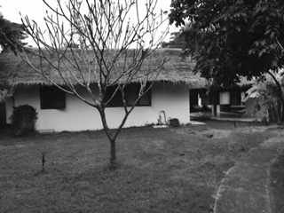 c0334117_14580434.jpg